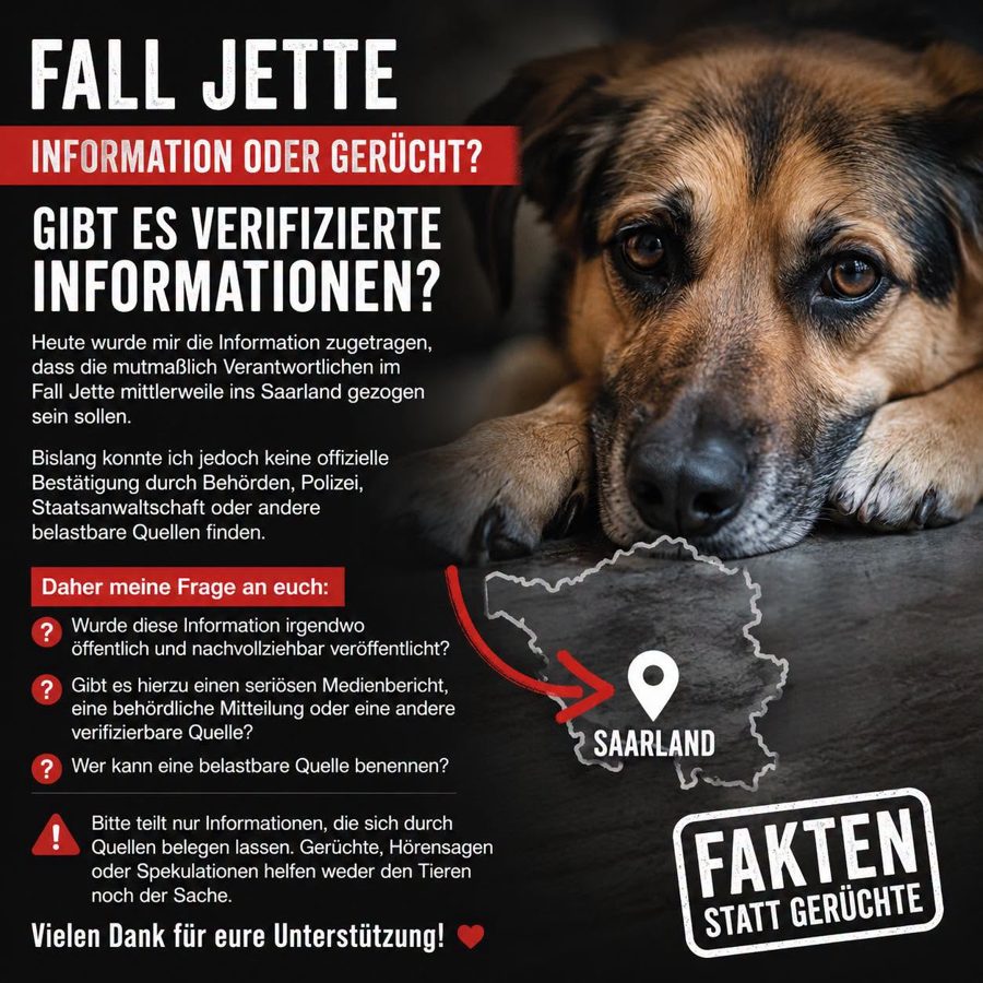 Fall Jette Faktencheck Grafik