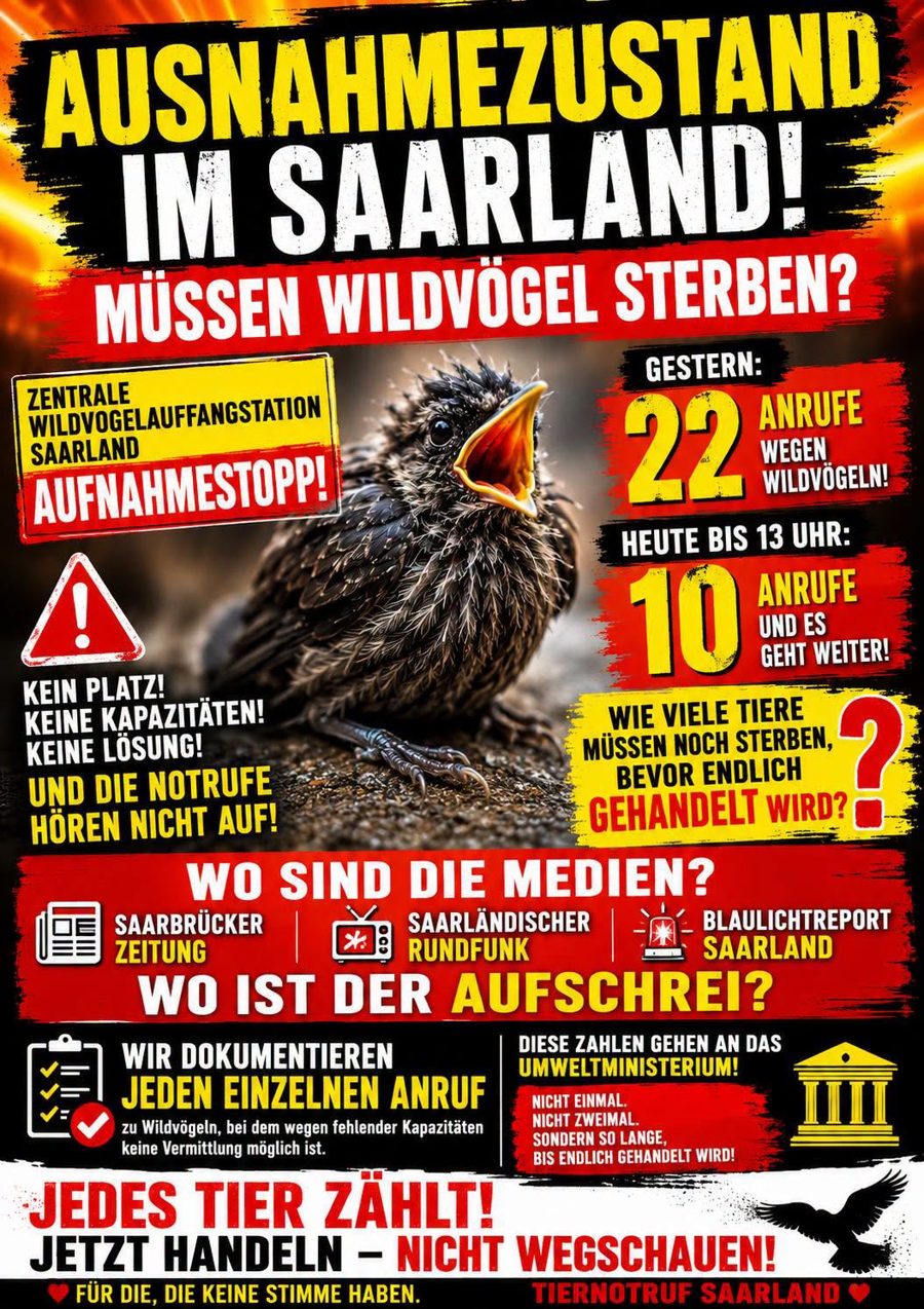 Plakat Ausnahmezustand im Saarland Wildvogelauffangstation